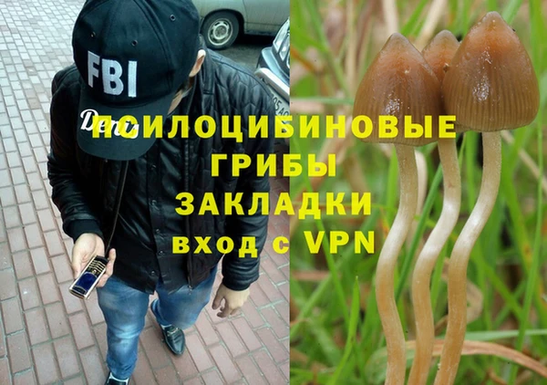 ГАЛЛЮЦИНОГЕННЫЕ ГРИБЫ Краснотурьинск