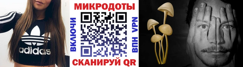 Купить где  Отрадный  Псилоцибиновые грибы мухоморы 